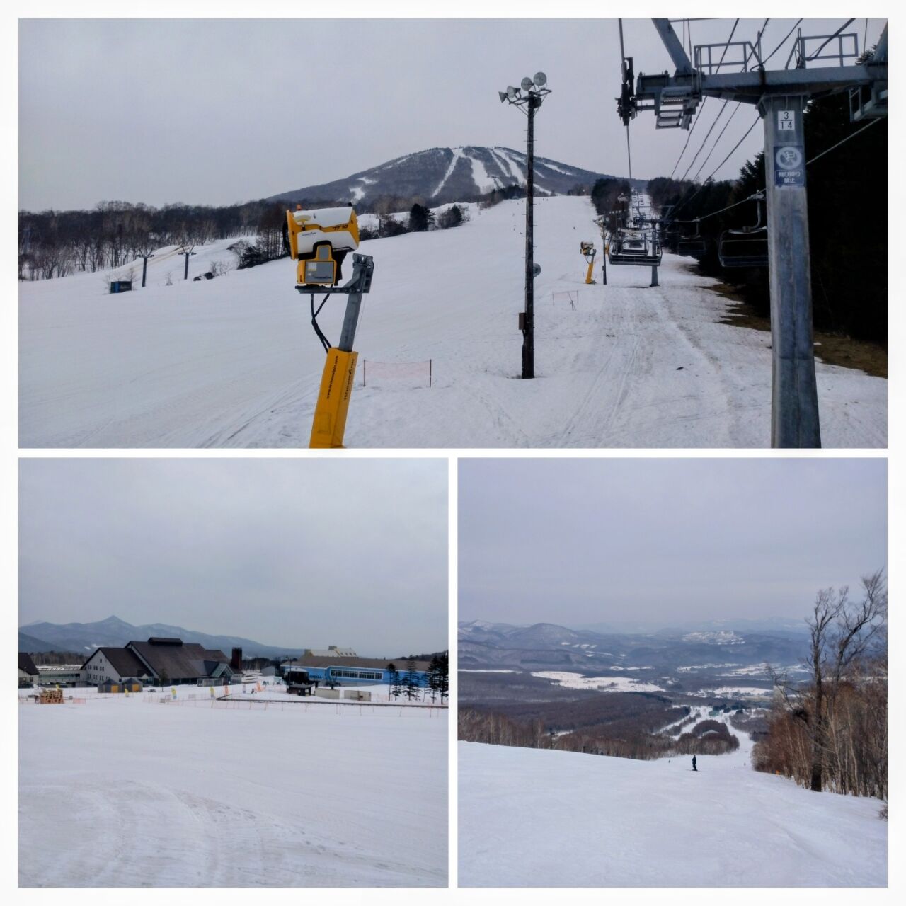 20260404_104836-COLLAGE~2