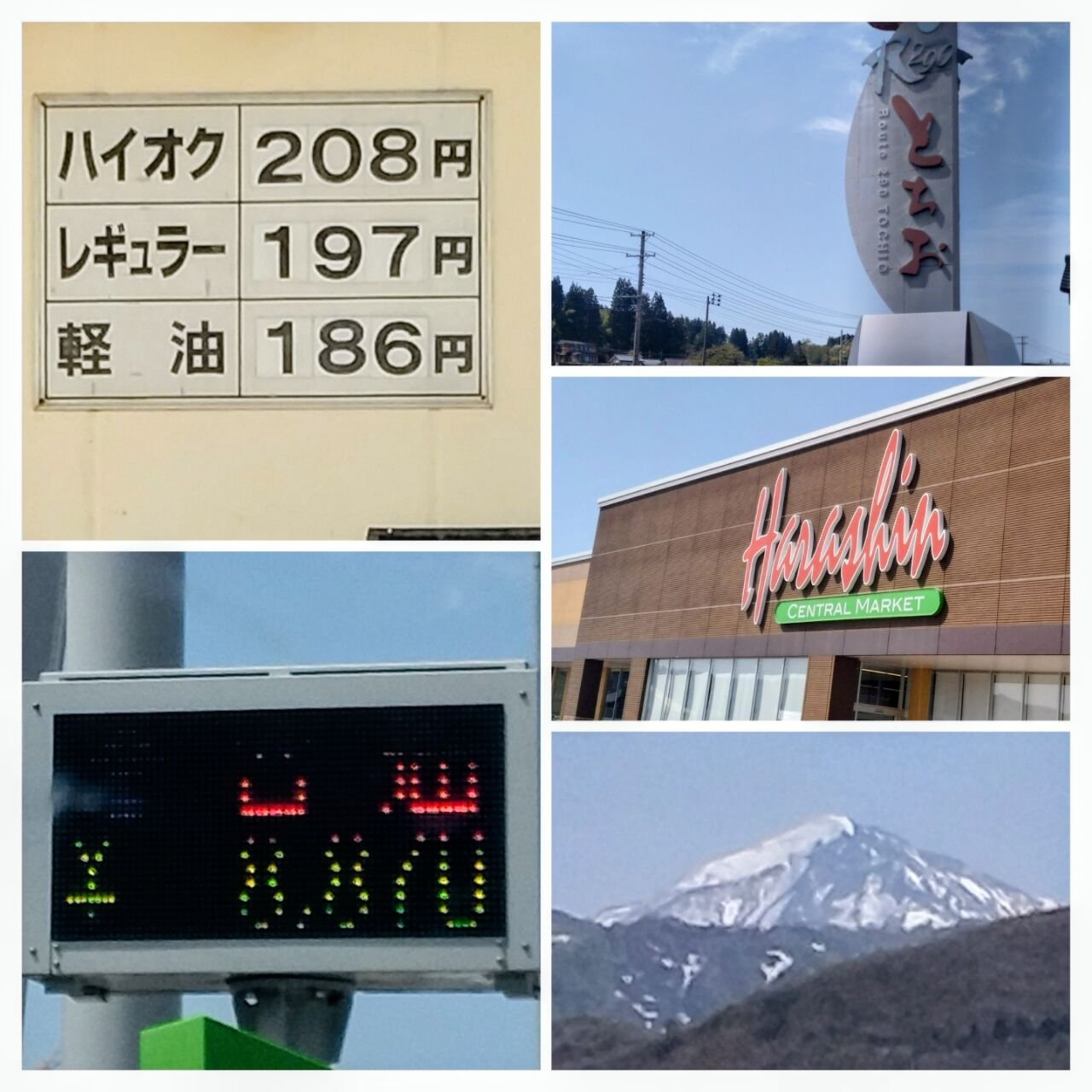 20260420_163806-COLLAGE~2