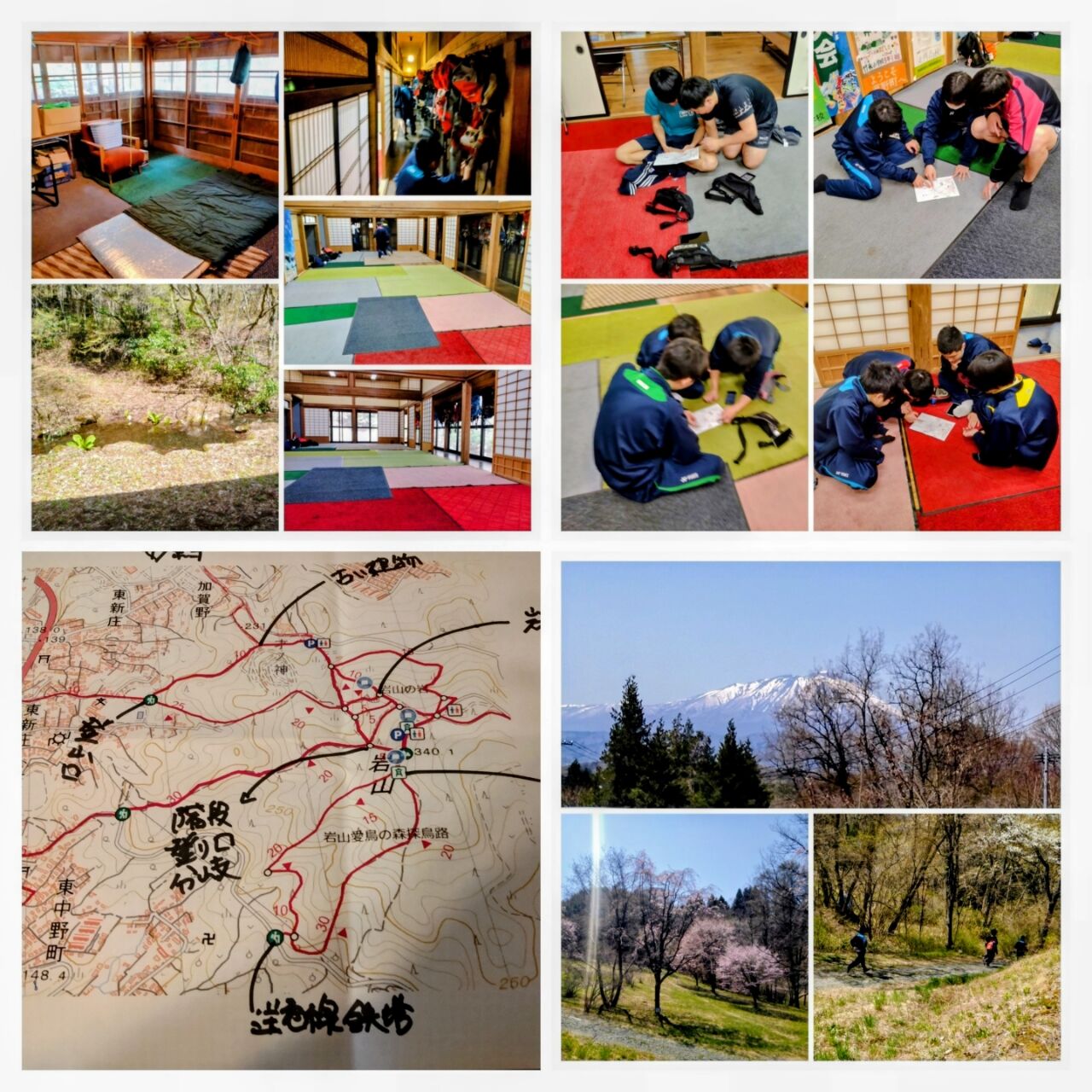 20260419_123547-COLLAGE~2