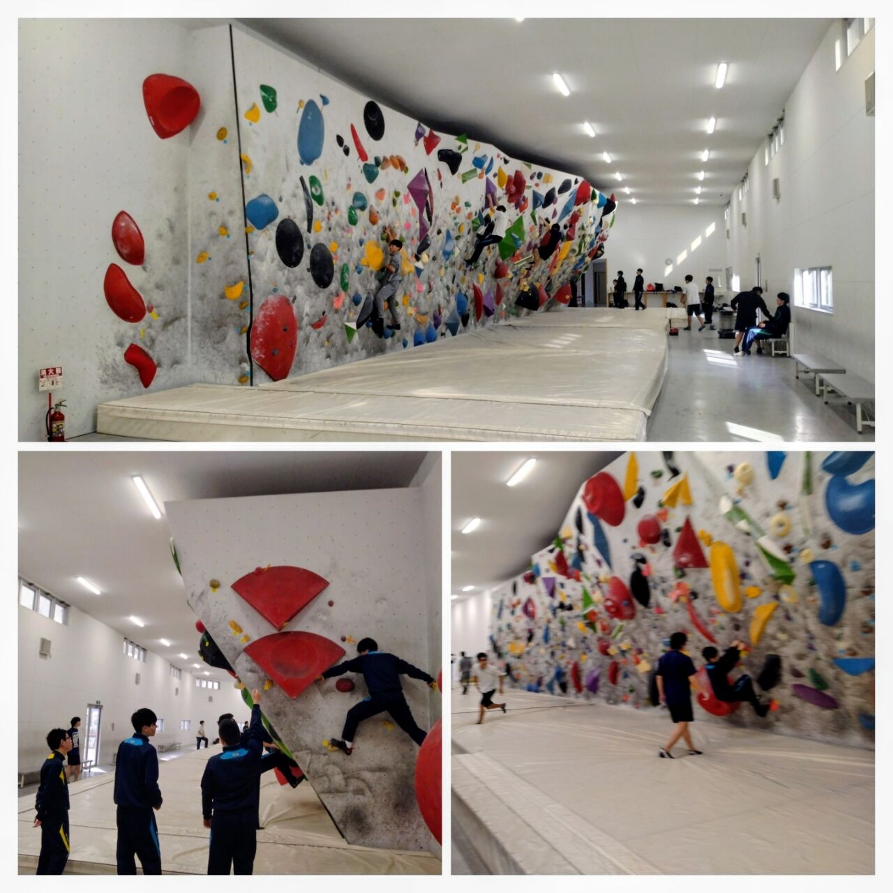 20260406_175441-COLLAGE~2