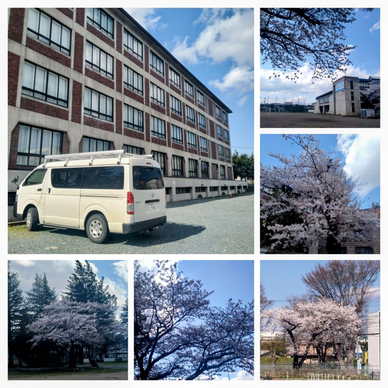 20260412_154125-COLLAGE~2