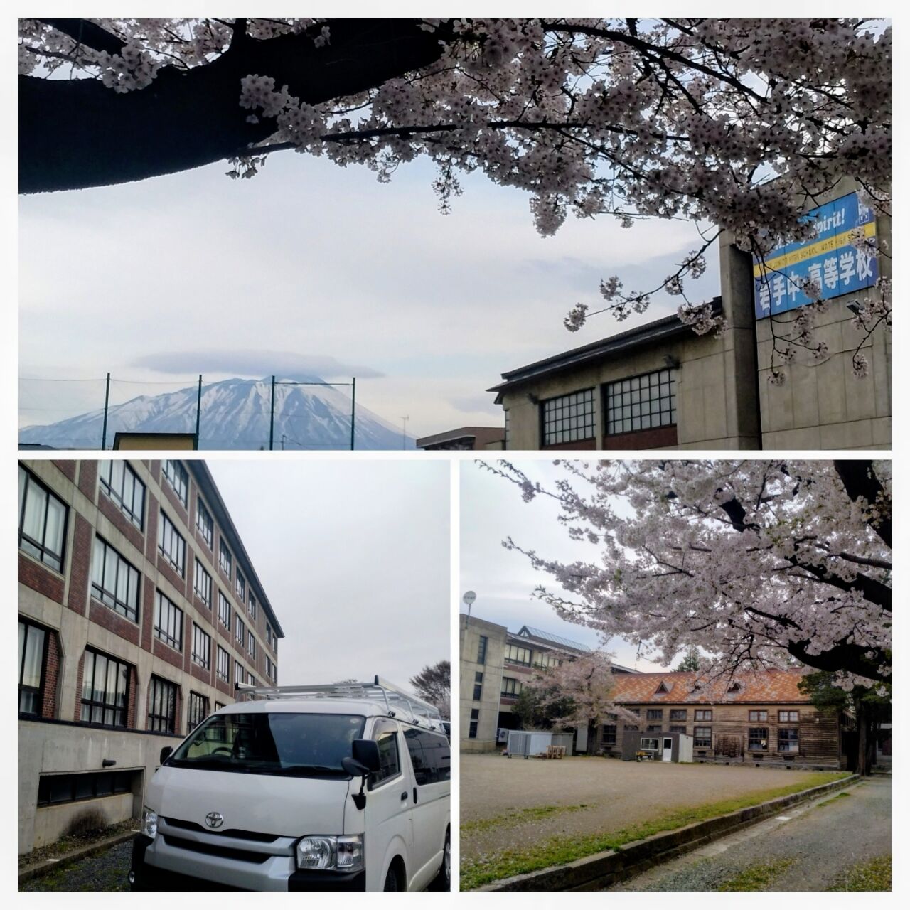 20260418_082723-COLLAGE~2