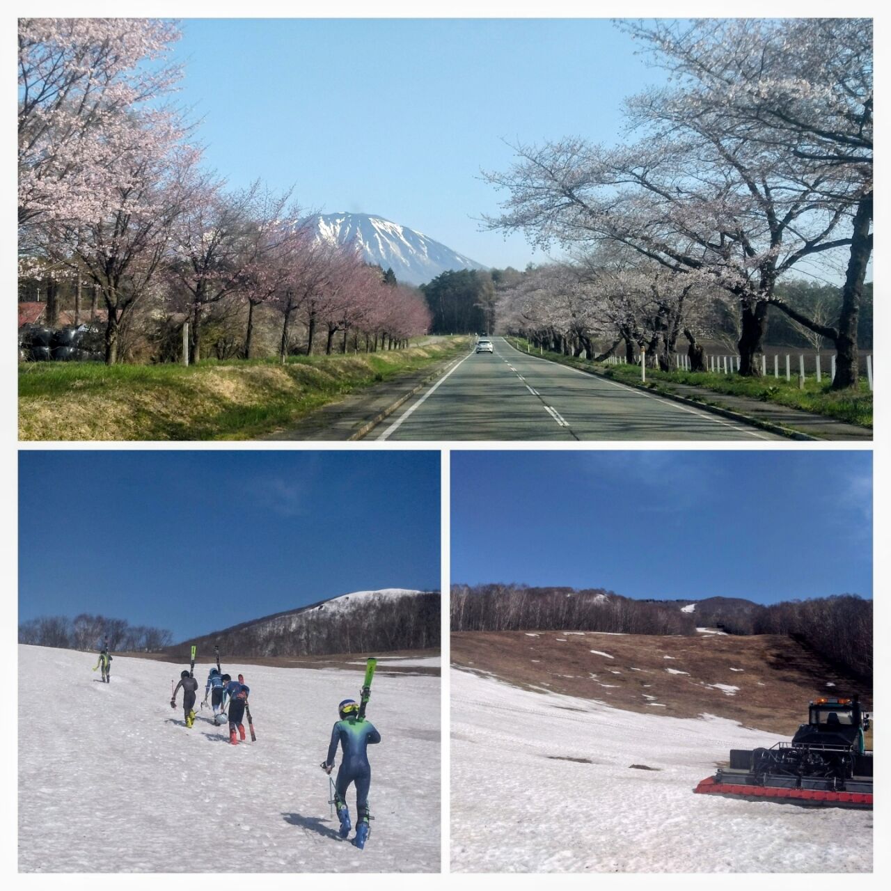 20260419_114829-COLLAGE~2