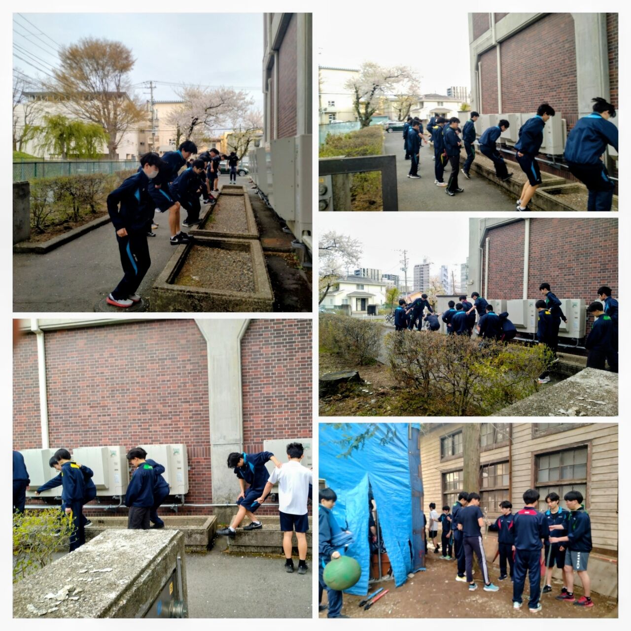 20260417_214140-COLLAGE~2