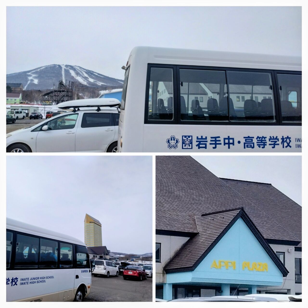 20260404_091532-COLLAGE~2