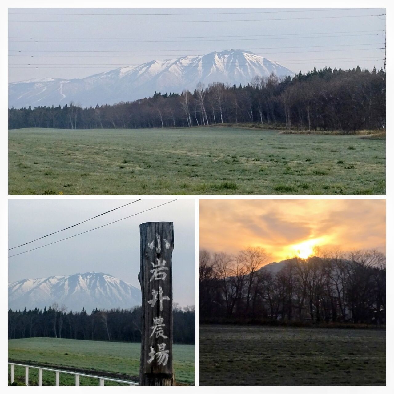 20260414_054645-COLLAGE~2