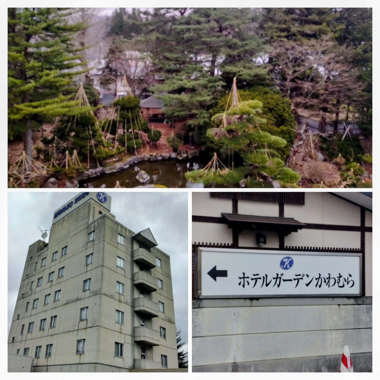 20260411_055048-COLLAGE~2