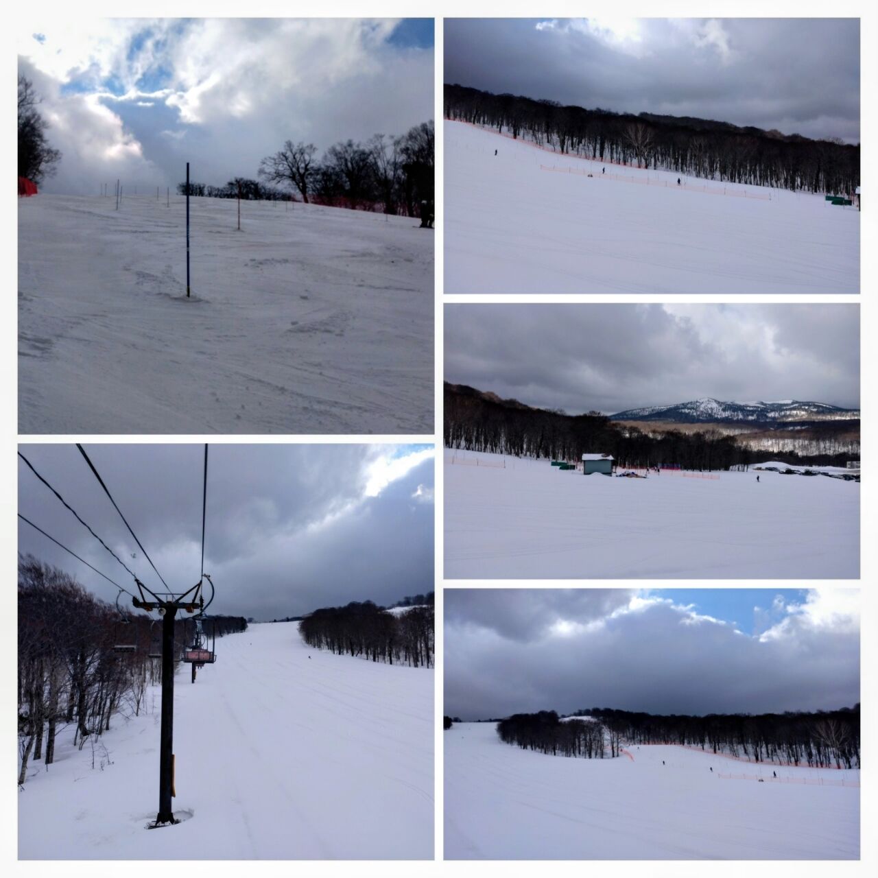 20260412_154539-COLLAGE~2