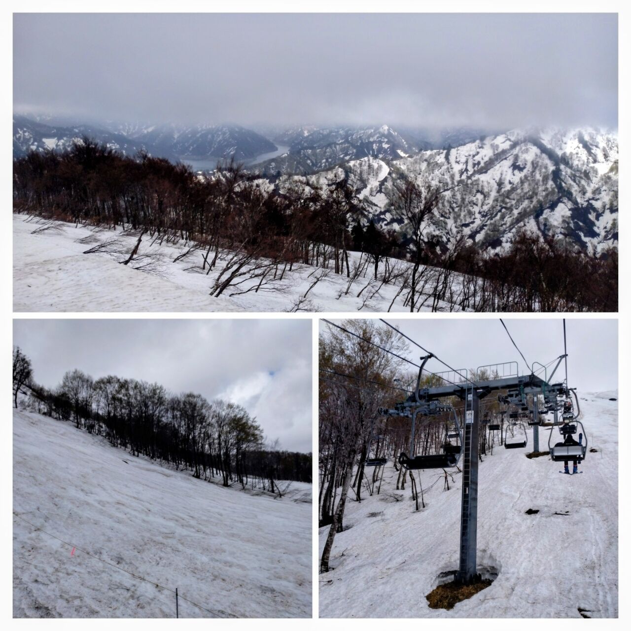 20260421_200641-COLLAGE~2