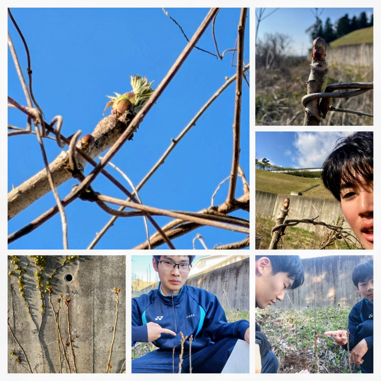 20260416_175925-COLLAGE~2
