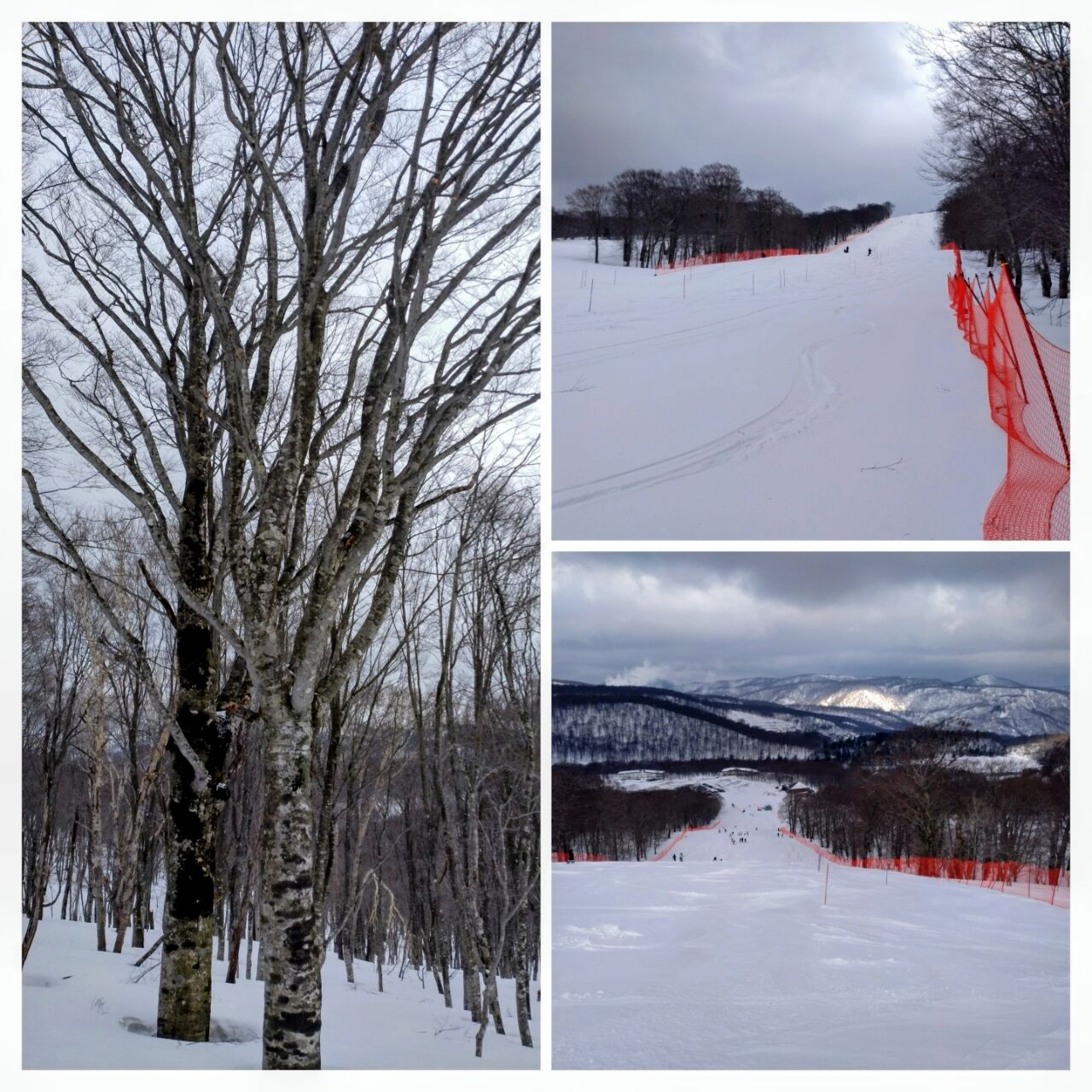 20260412_154445-COLLAGE~2