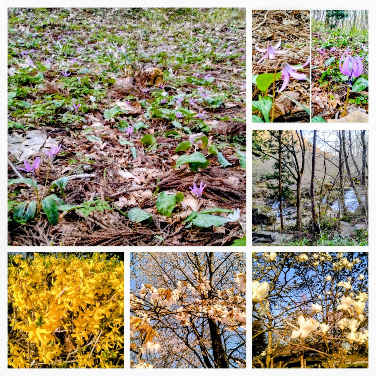 20260419_172230-COLLAGE~2