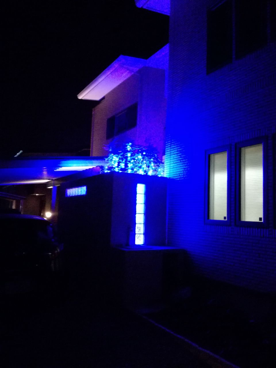 テラスの木をクリスマスツリーに ブルーのledでイルミネーション 電気代は意外と安い I Smart Looking House 一条工務店で個性派住宅