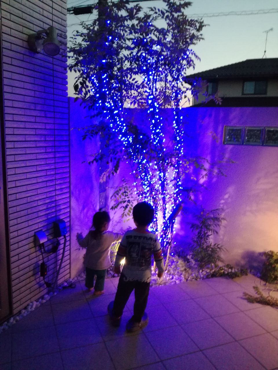テラスの木をクリスマスツリーに ブルーのledでイルミネーション 電気代は意外と安い I Smart Looking House 一条工務店で個性派住宅