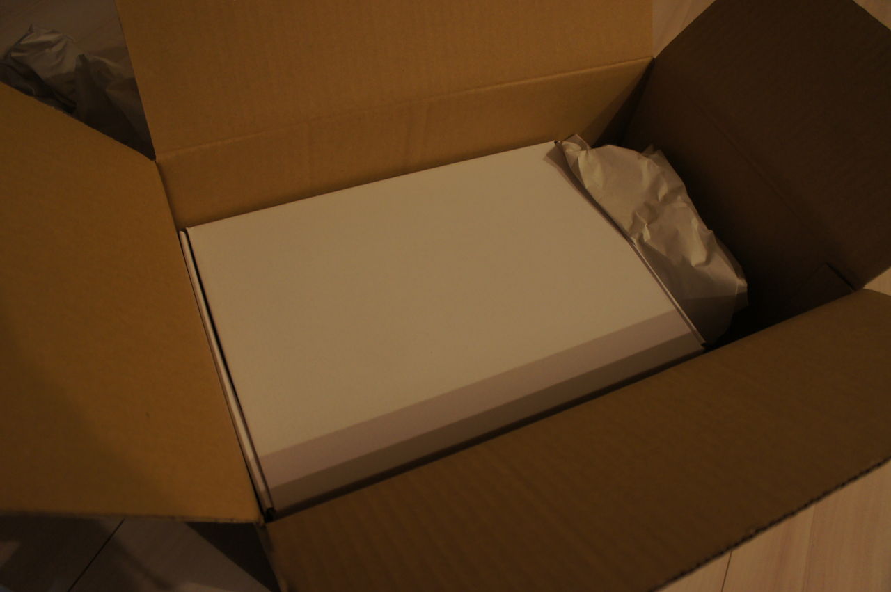 テラスの木をクリスマスツリーに ブルーのledでイルミネーション 電気代は意外と安い I Smart Looking House 一条工務店で個性派住宅