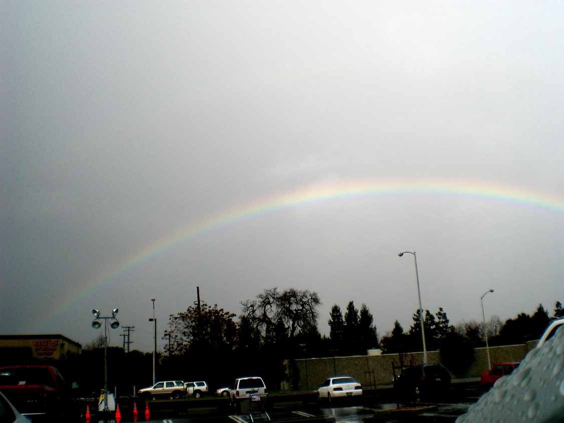 アメリカの絵本の奇妙な虹 ハチ カタツムリ Letters From Stanford