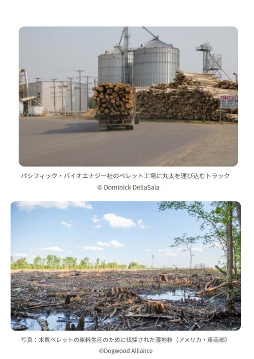 木質バイオ 告発_page-0001