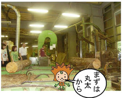 つみ木贈呈ブログ②