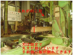 つみ木贈呈ブログ⑥