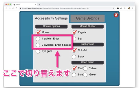 Accessibility Settingsの設定画面