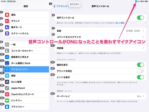 音声コントロールをONにした画面