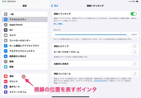りえさんの視線トラッキング設定