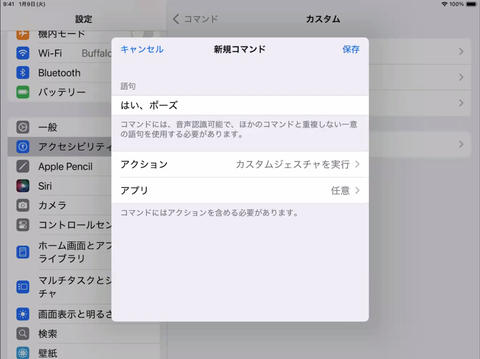 音声個コントロールのカスタムコマンド