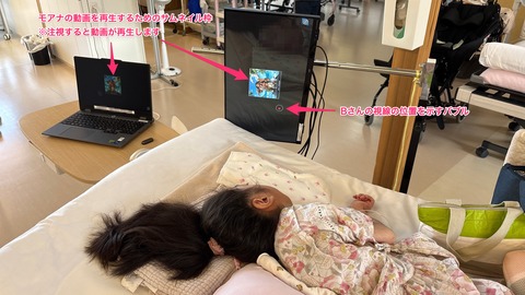動画再生前の画面