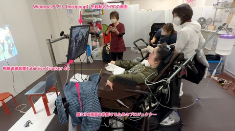 Windowsアプリbirdpoopを視線入力で遊ぶNYさん