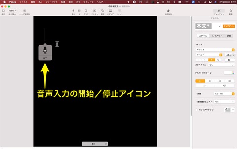 音声入力の開始/停止ボタン