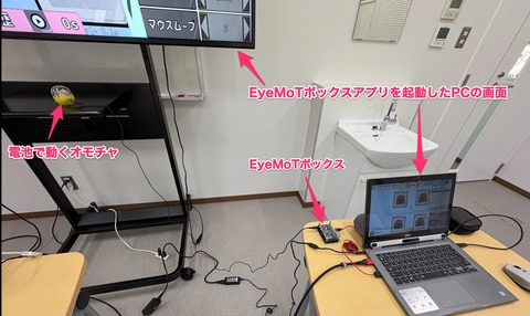 EyeMoTボックス経由でオモチャを作動させる