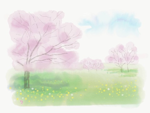 さくら
