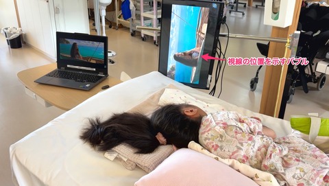 再生した動画を視聴するBさん