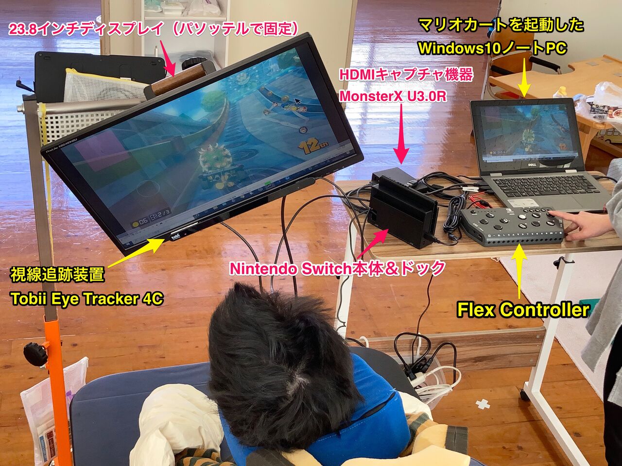 Flex Controllerを経由した視線入力でNintendo Switchを操作するための