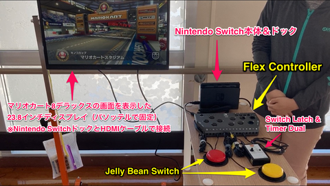 Flex ControllerとNintendo Switchの接続例