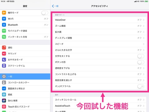 iPadアクセシビリティ機能視覚サポートの画面