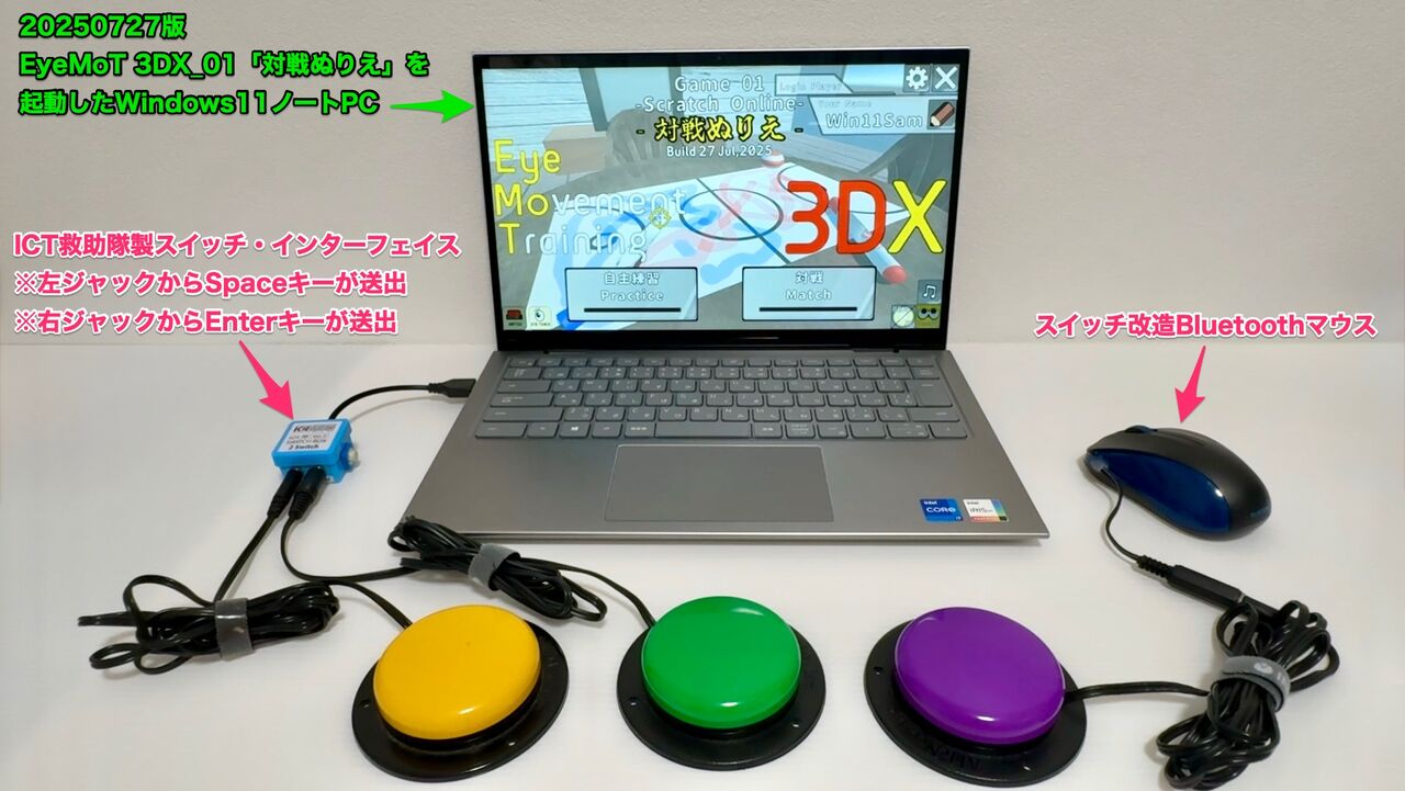 Windows用インクルーシブゲームEyeMoT3DX_01「対戦ぬりえ」が