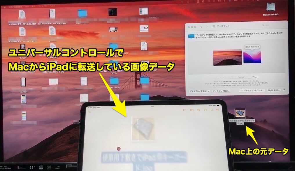 Apple WWDC24 macOS セコイア ヒーロー 240610