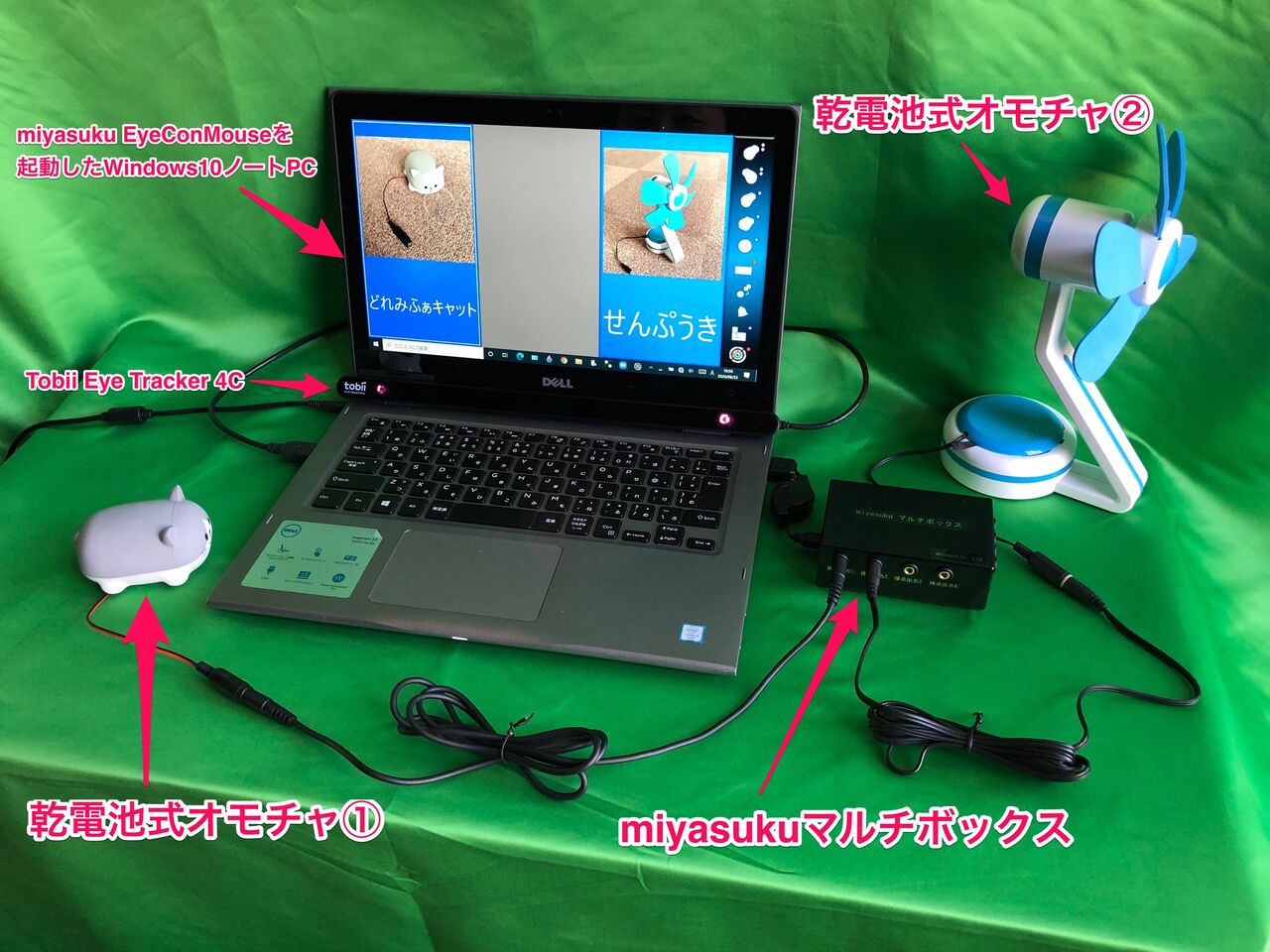 【海】カエルの鳴き声　リモージュ　磁器ボックス Amazon.co.jp: 海カエルの鳴き声 リモージュ 磁器ボックス