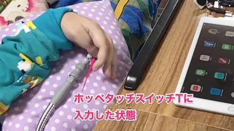 入力した状態