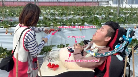 マイクロスイッチ入力でイチゴを摘むAさん