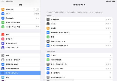アクセシビリティの項目のく