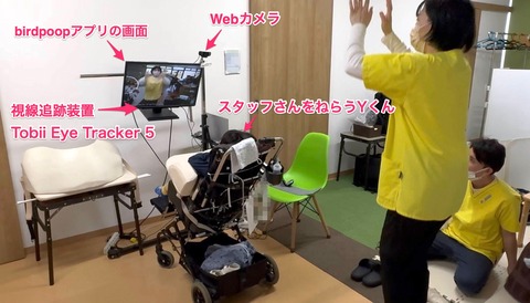 視線入力でbirdpoopを遊ぶ
