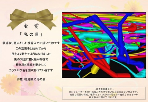 金賞タイトル「私の目」