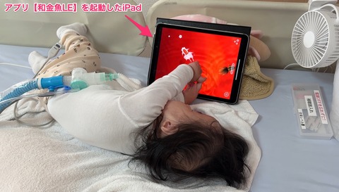 和金魚LEで遊ぶHさん