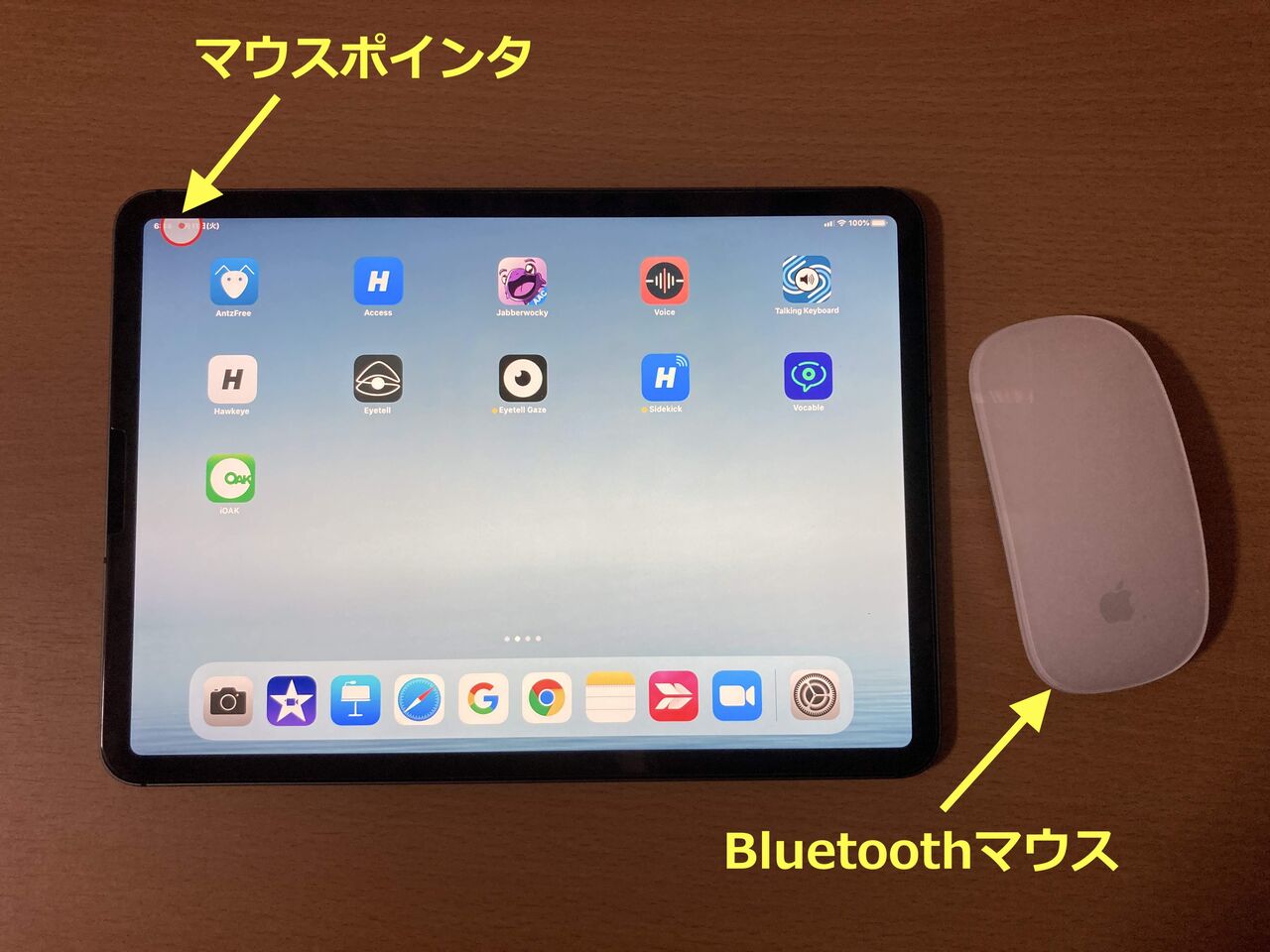 マウス ipad