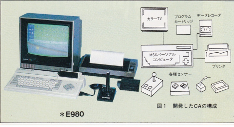 Pワード