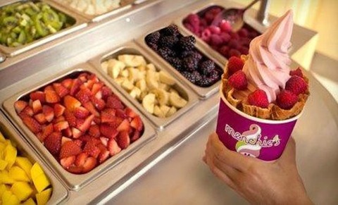 menchie-s-frozen-yogurt