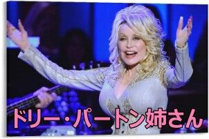 61ciHJBHdtL._AC_UF894,1000_QL80_