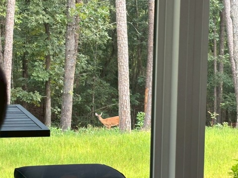 LINE_ALBUM_Hot Springs_250809_5